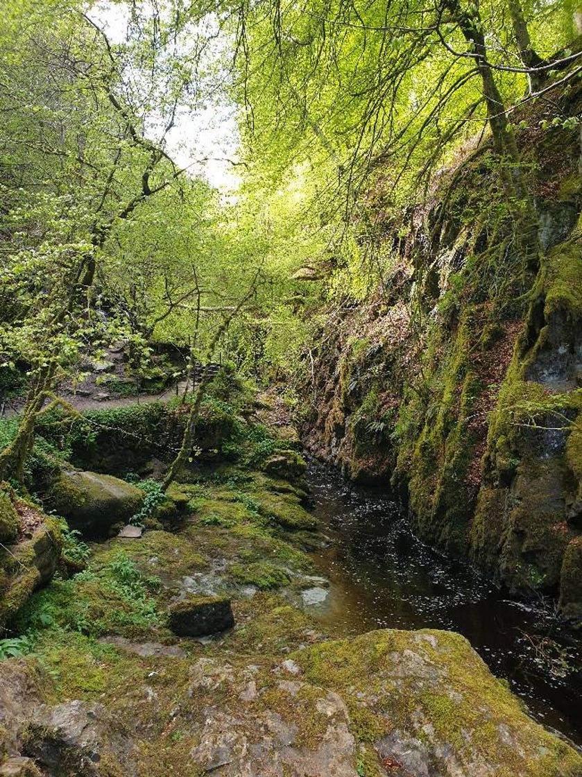 Place The Birks of Aberfeldy