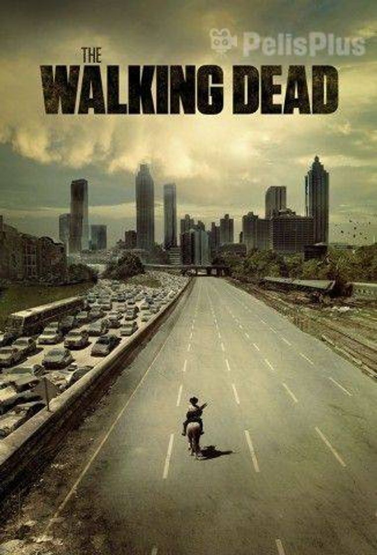 Moda Serie the walking dead 10/10