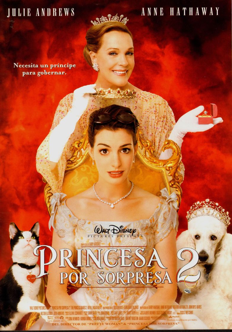 Movie Princesa por sorpresa