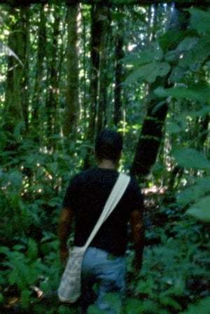 Movie El Laberinto