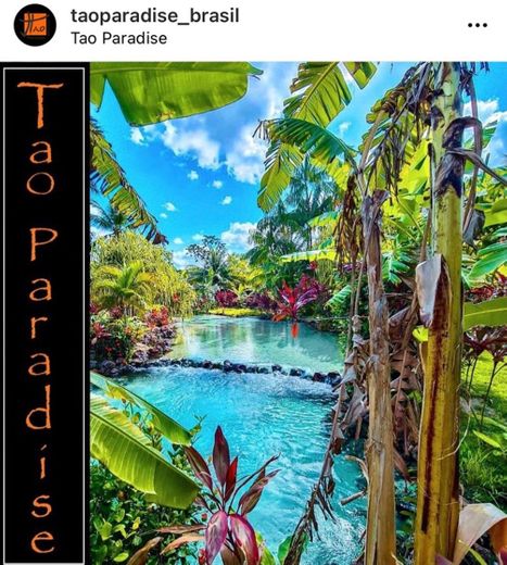 Tao Paradise