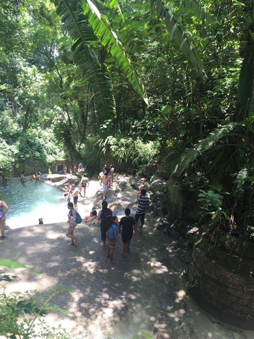 Place Jardín Surrealista "Edward James", Xilitla, S.L.P.