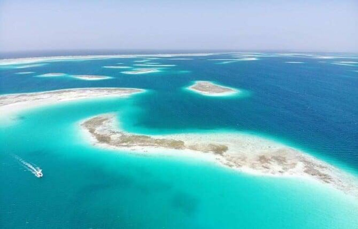 Place Los Roques