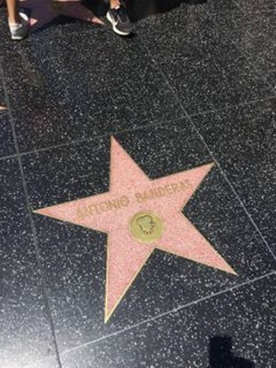 Hollywood Walk of Fame - Los Angeles - 204