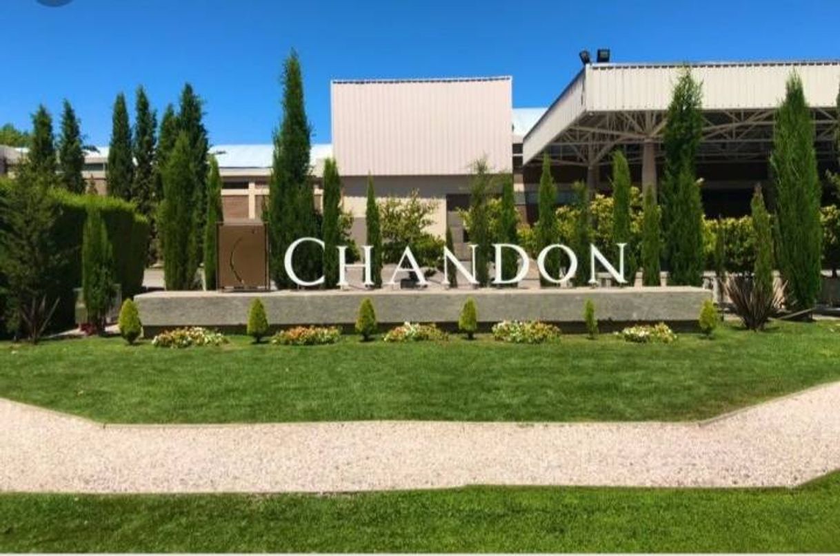 Places Bodega Chandon