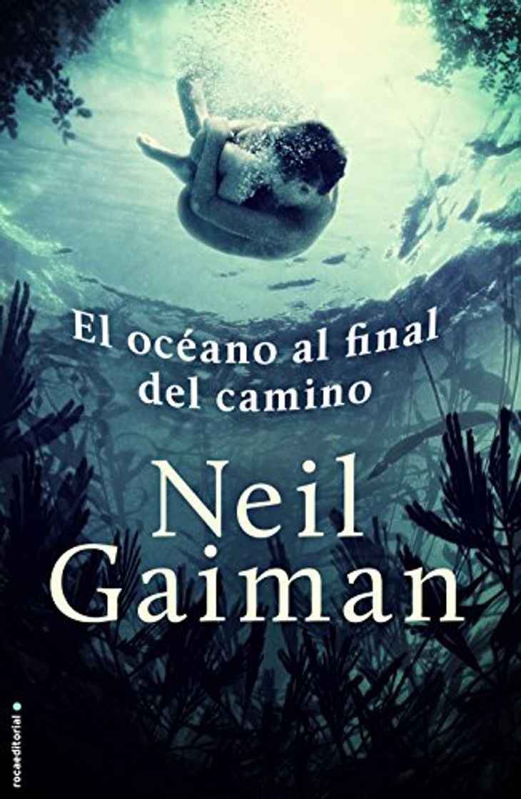 Book El océano al final del camino