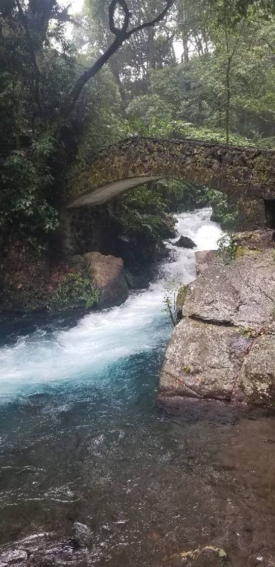 Place Parque Nacional Barranca del Cupatitzio