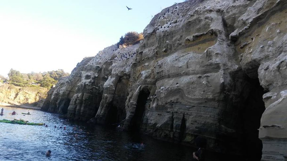 Lugar La Jolla Cove