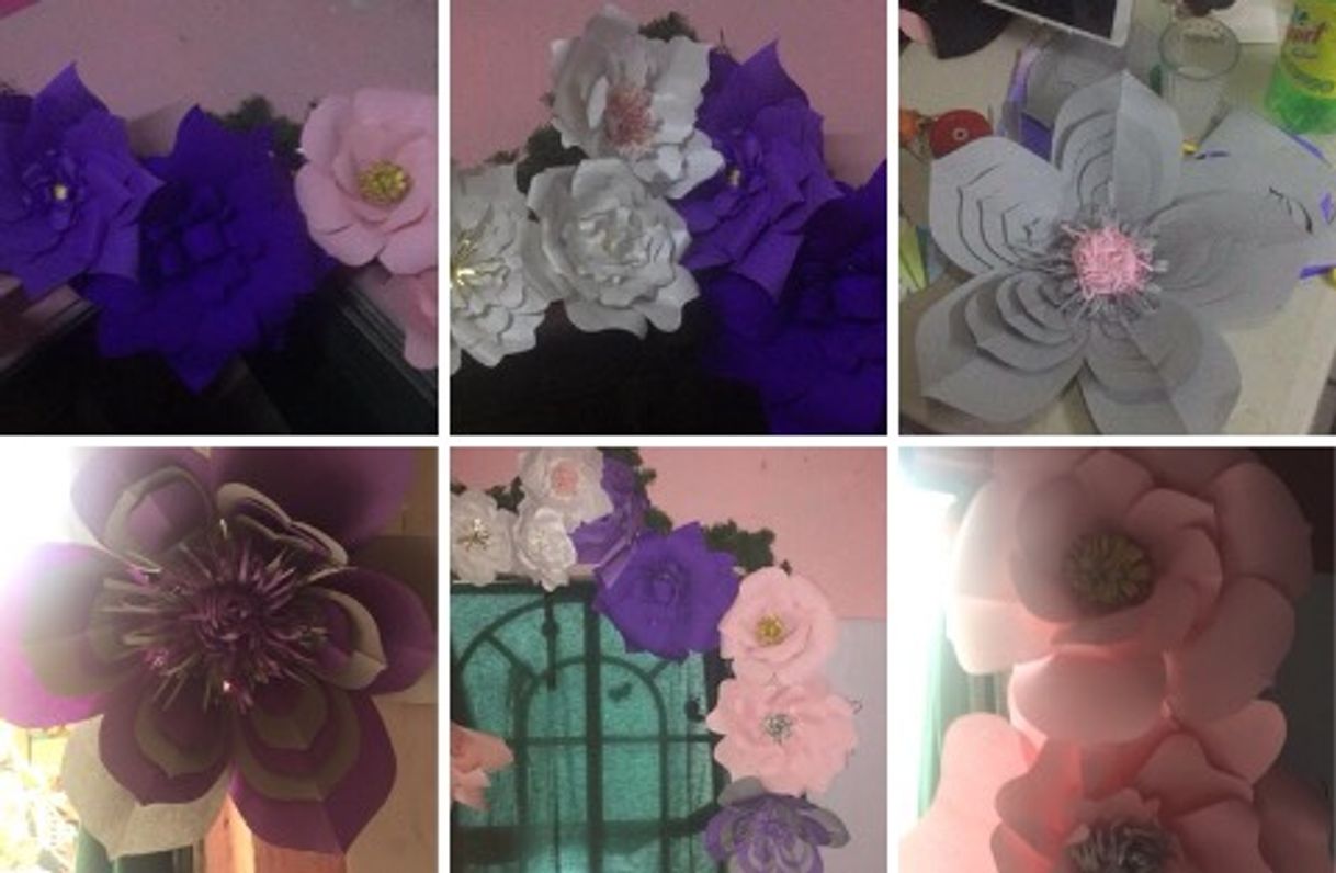 Alelis eventos - Posts | Facebooku” 