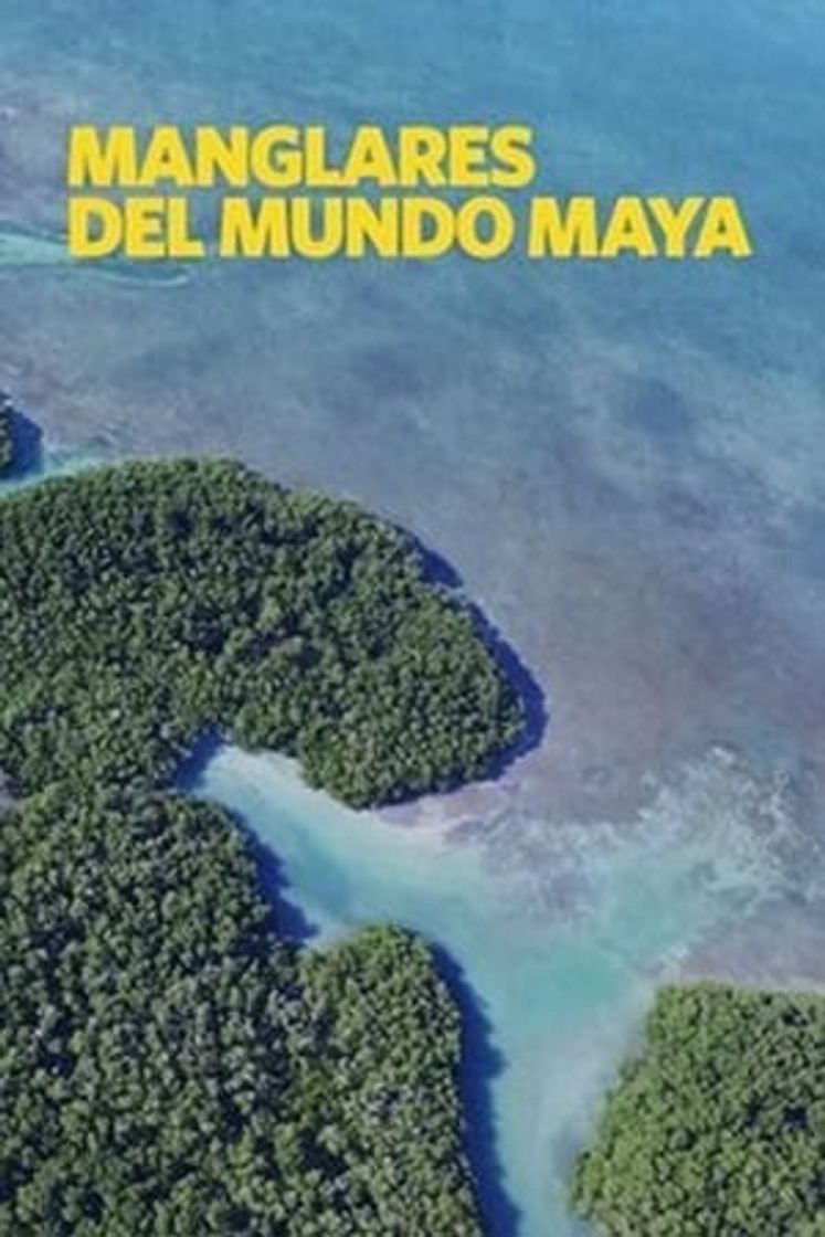 Serie Mangalares Del Mundo Maya