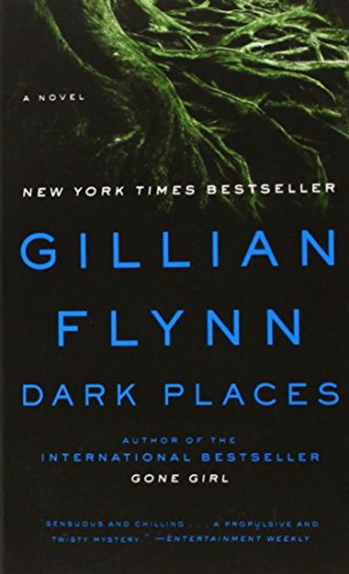 Libro Dark Places