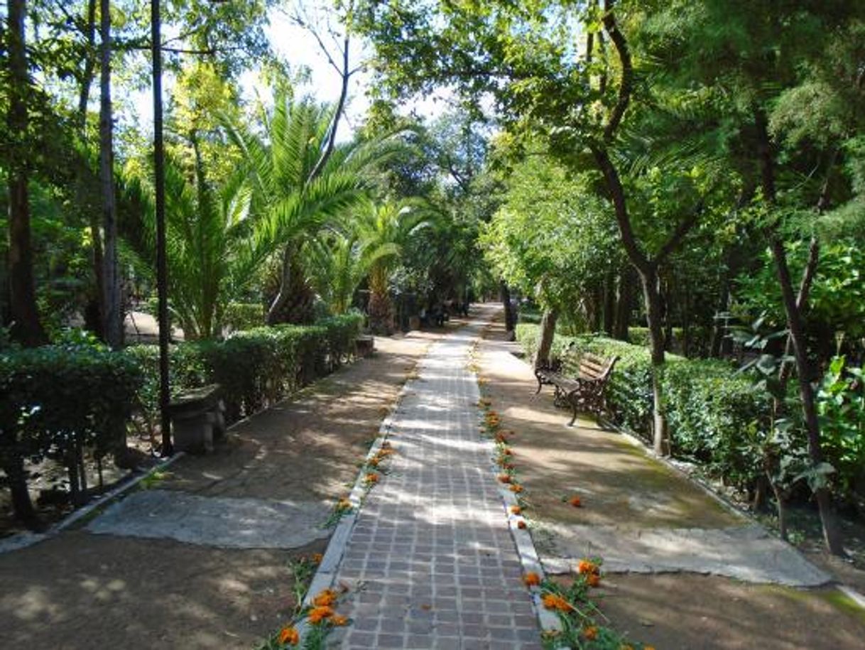 Lugar Parque Benito Juárez