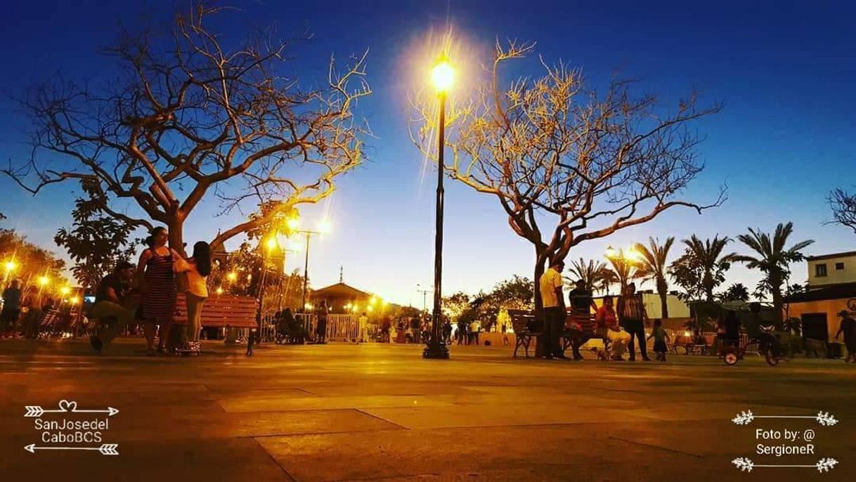 Place San José del Cabo