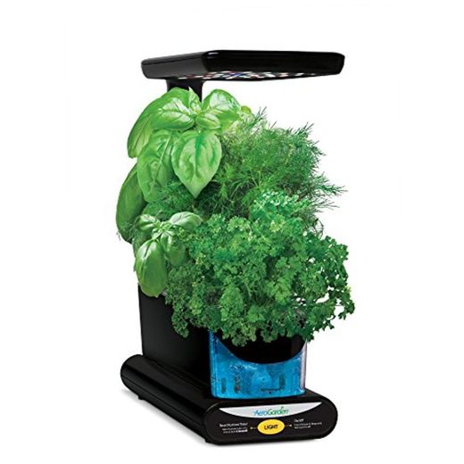 AeroGarden Sprout - Kit de cultivo interior smart garden