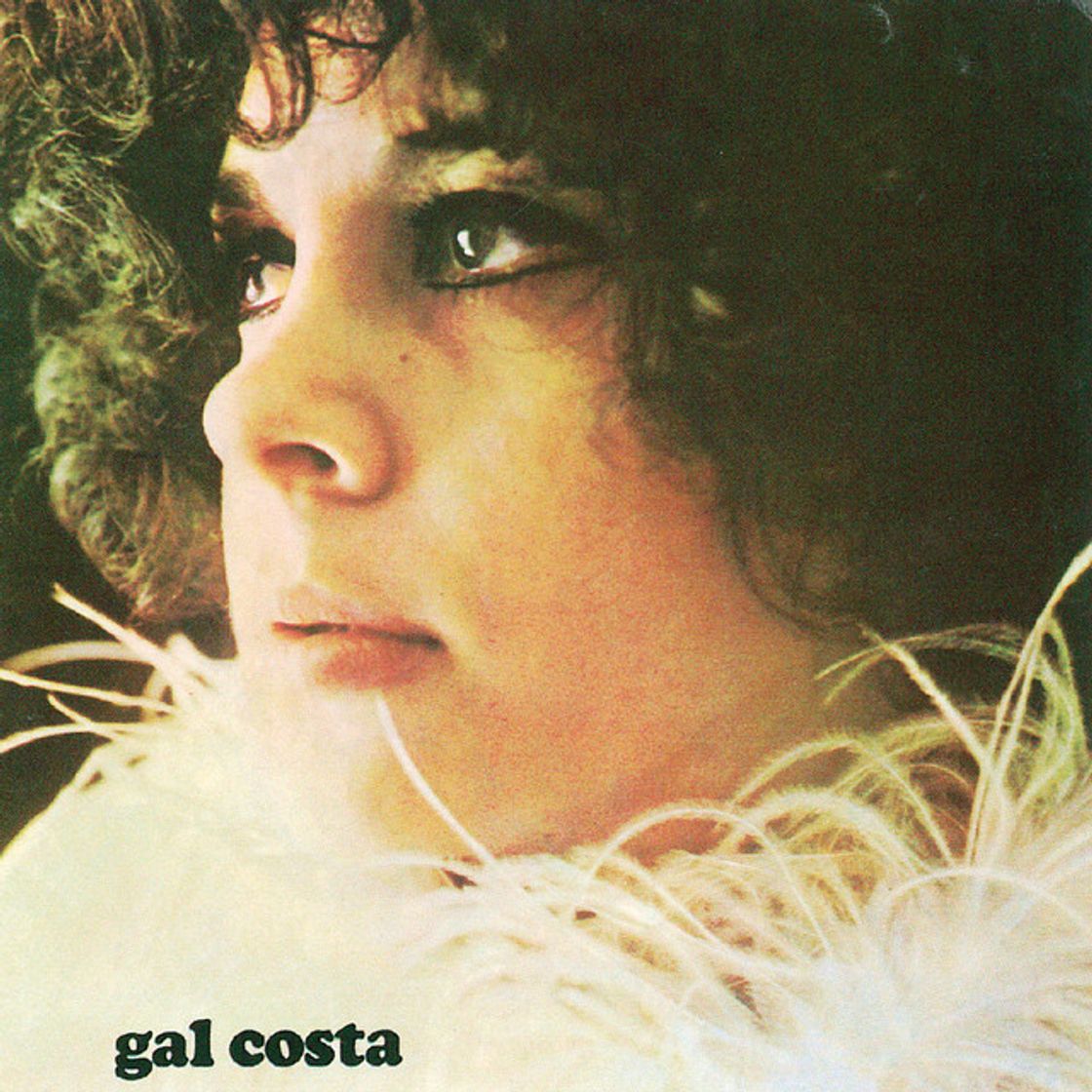 Music Divino Maravilhoso - Gal Costa
