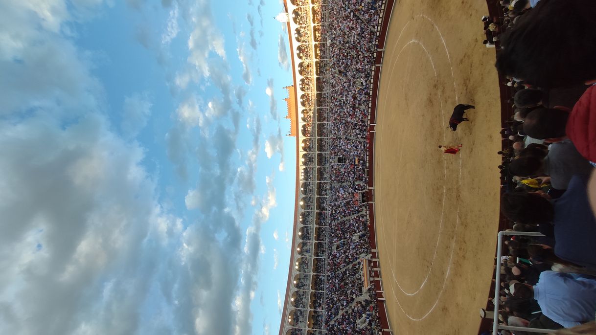 Place Plaza de Toros de Las Ventas