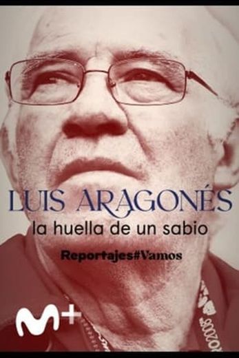 Luis Aragonés, la huella de un sabio