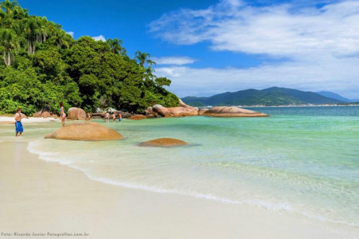 Lugar Praia do Campeche