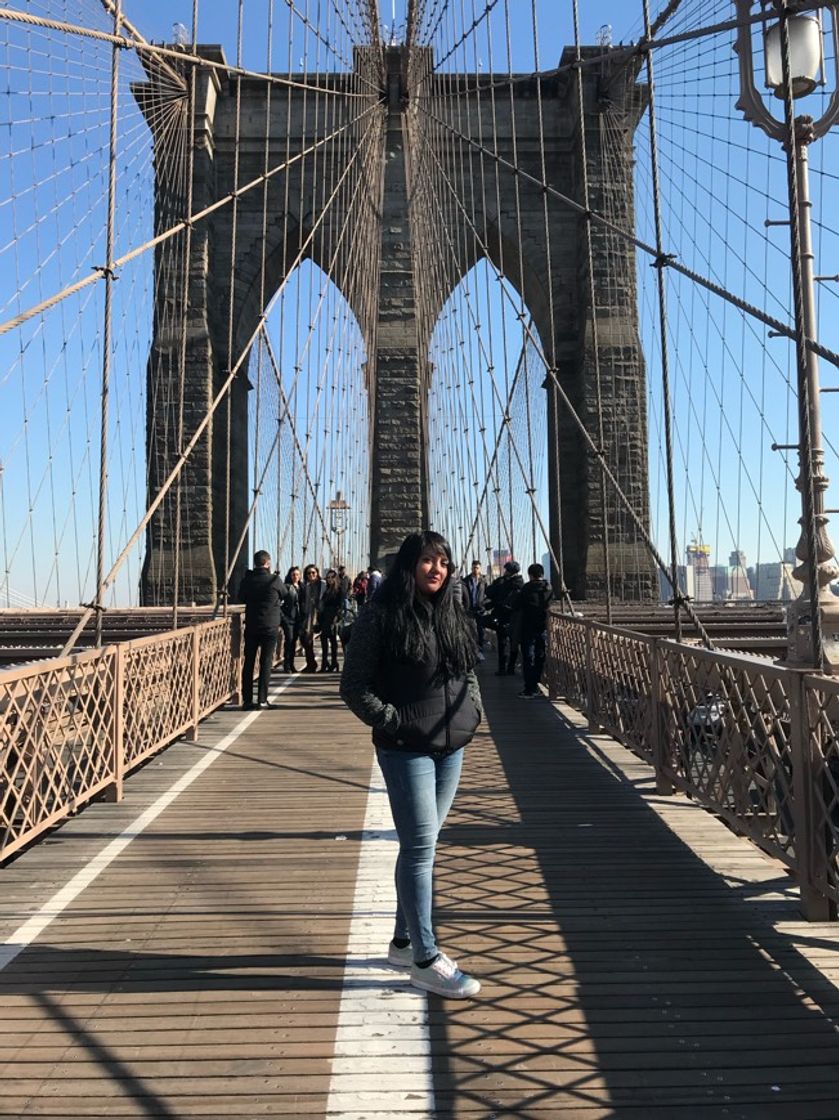 Place Brooklyn Bridge