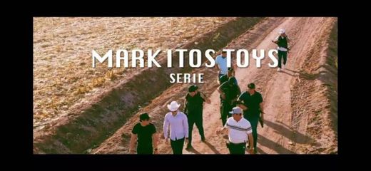 LOS TOYS LA SERIE 