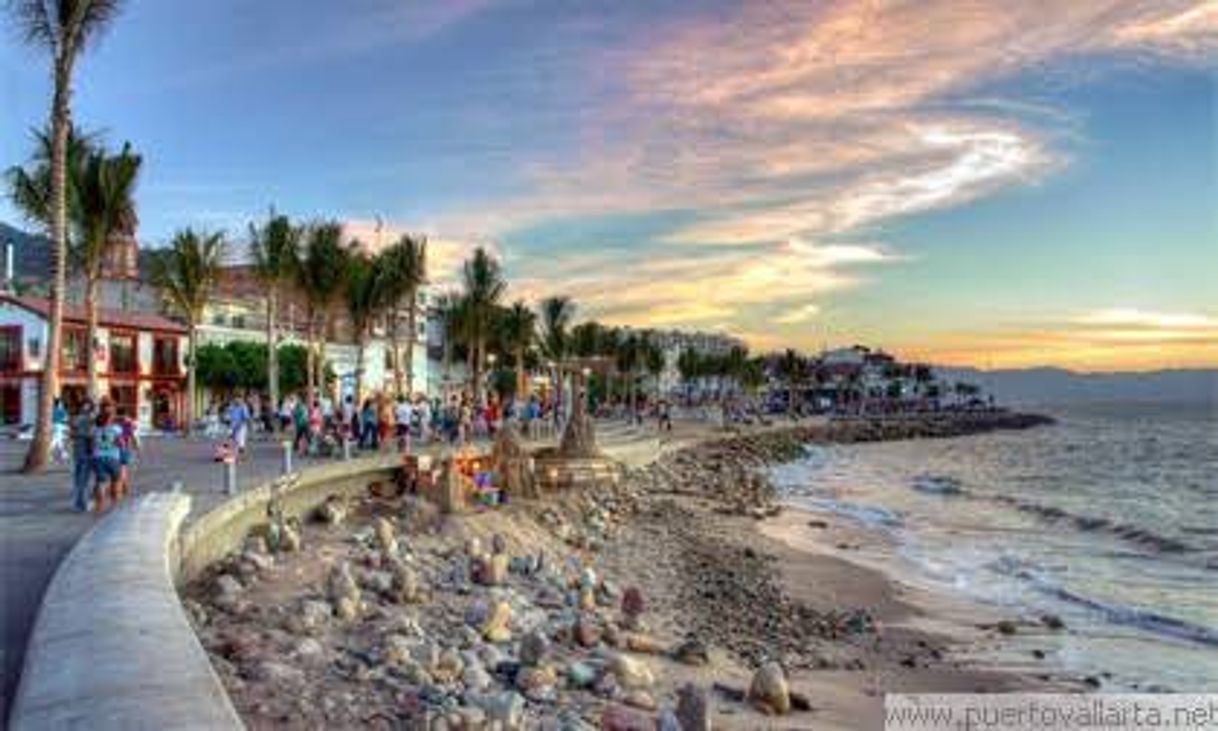 Lugar Malecón Puerto Vallarta