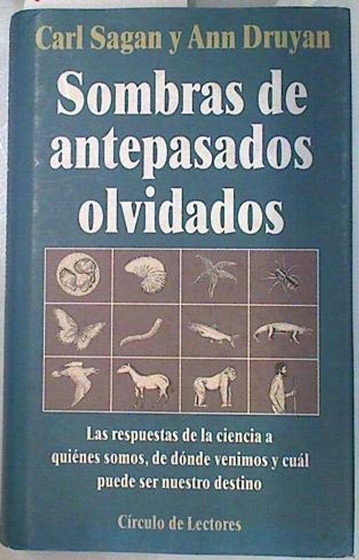 Libro Sombras De Antepasados Olvidados