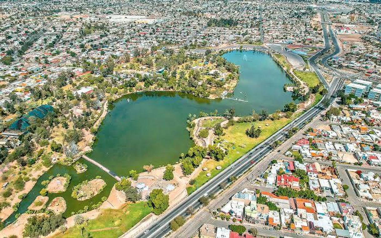 Lugar Bosque De La Ciudad