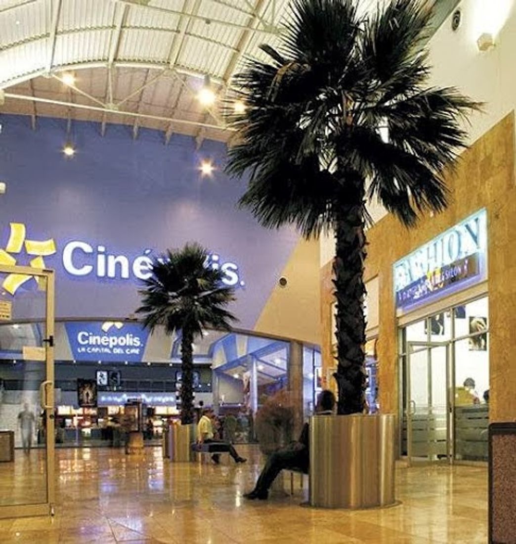 Lugar Cinépolis San Pedro