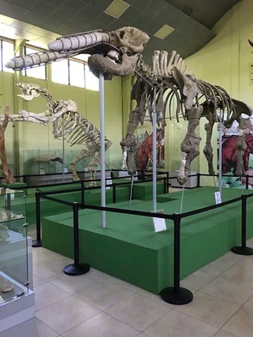 Lugar Museo de Paleontologia y Arqueología de Estanzuela