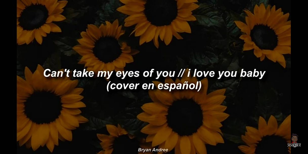 Social Bryan Andree - Can't take my eyes you - I love you bby