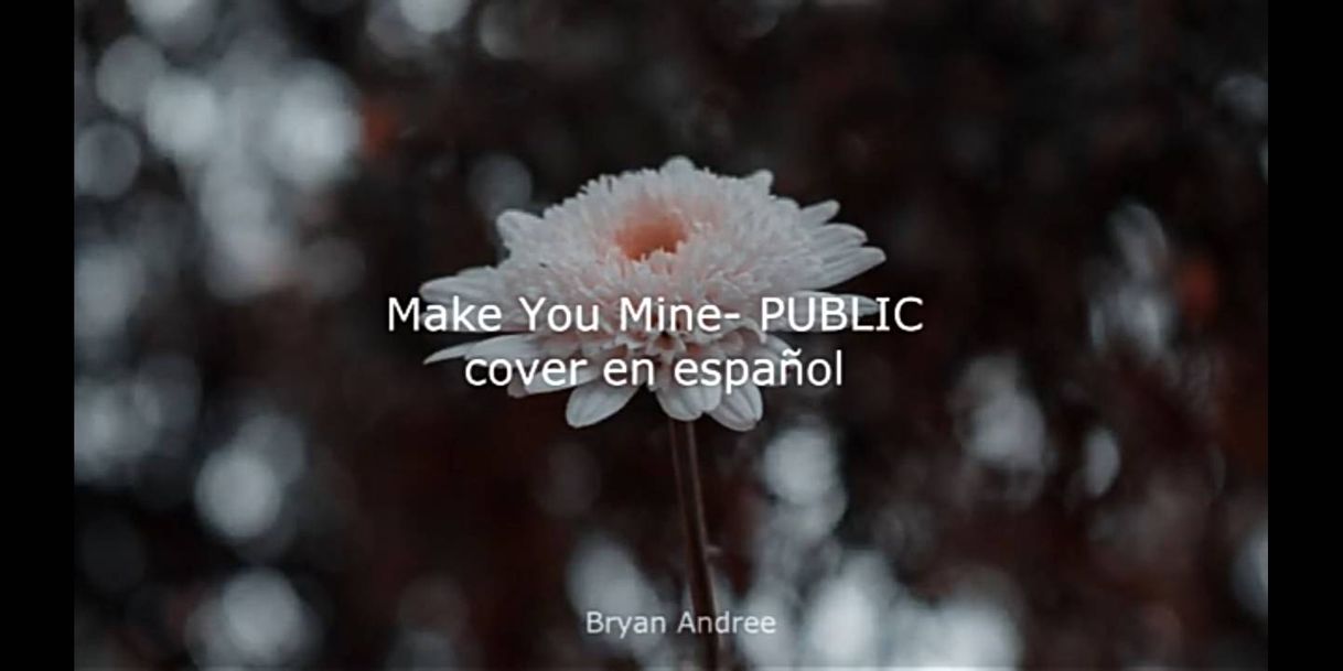 Fashion Bryan Andree - Make you mine - Public (Cover).