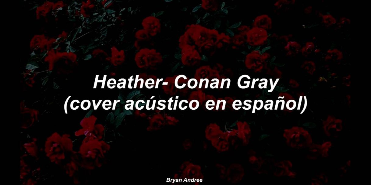 Fashion Bryan Andree - Heather Conan Gray (Cover)