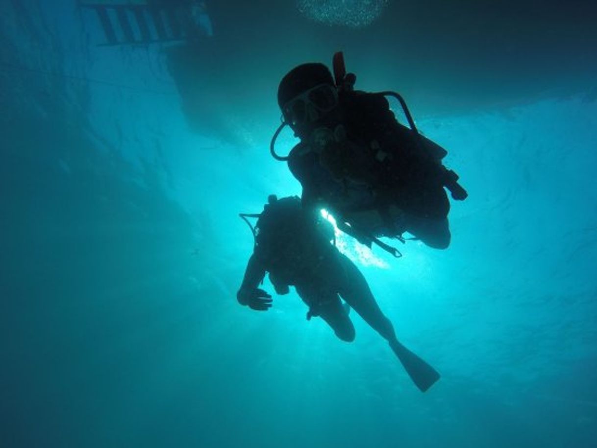 Lugar Buceo Acapulco Aqua Mundo