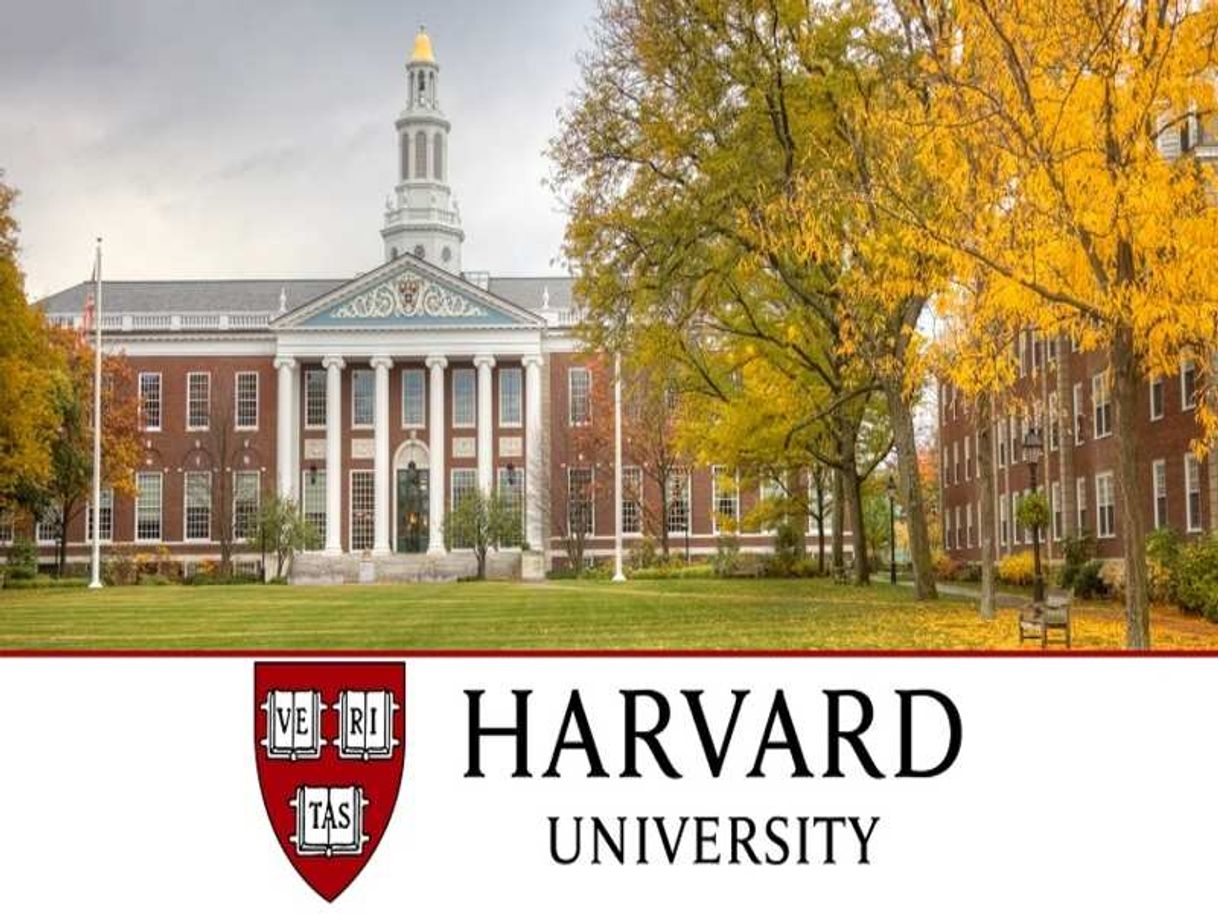 Fashion Harvard University