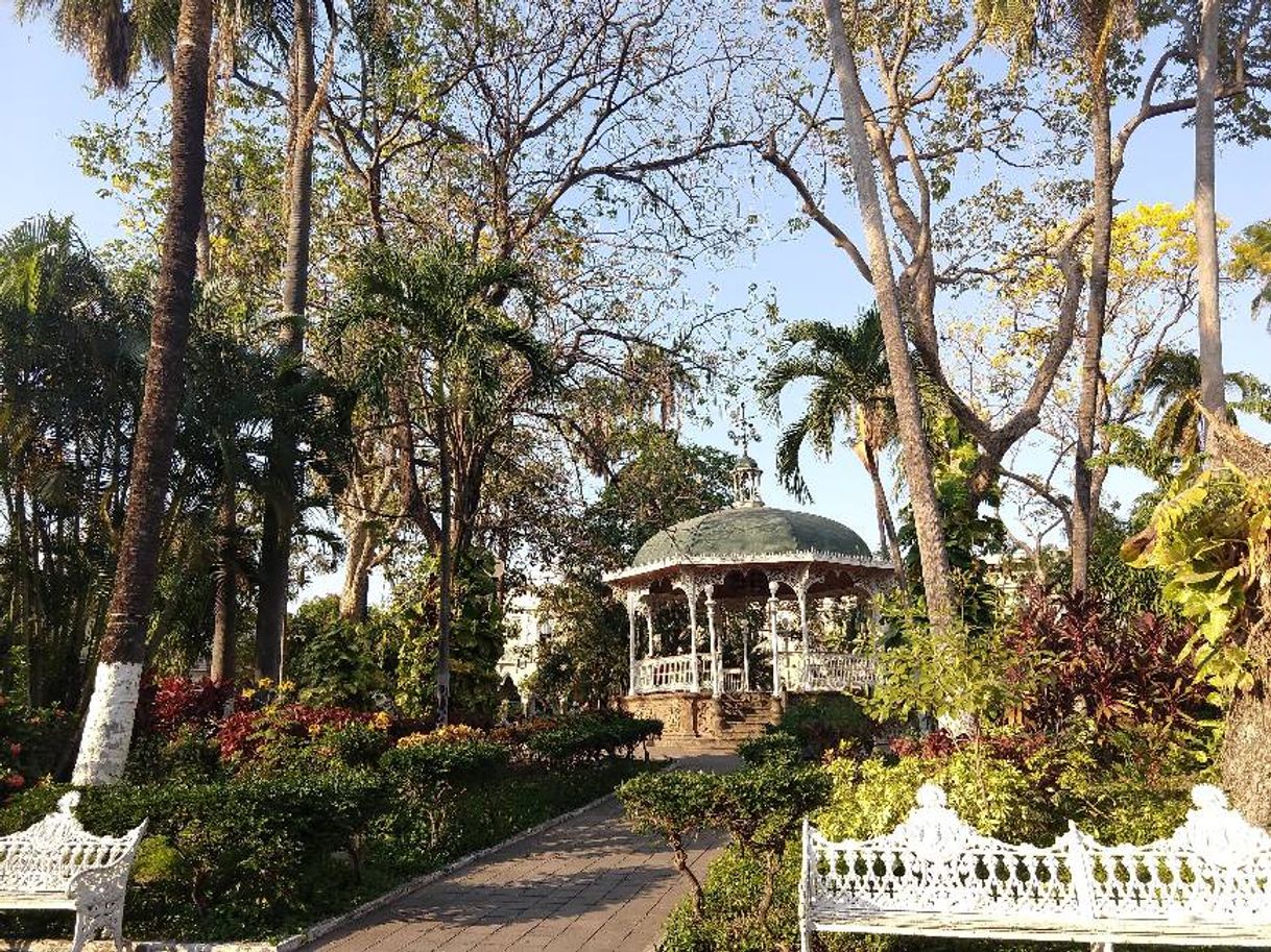 Lugar COLIMA CENTRO