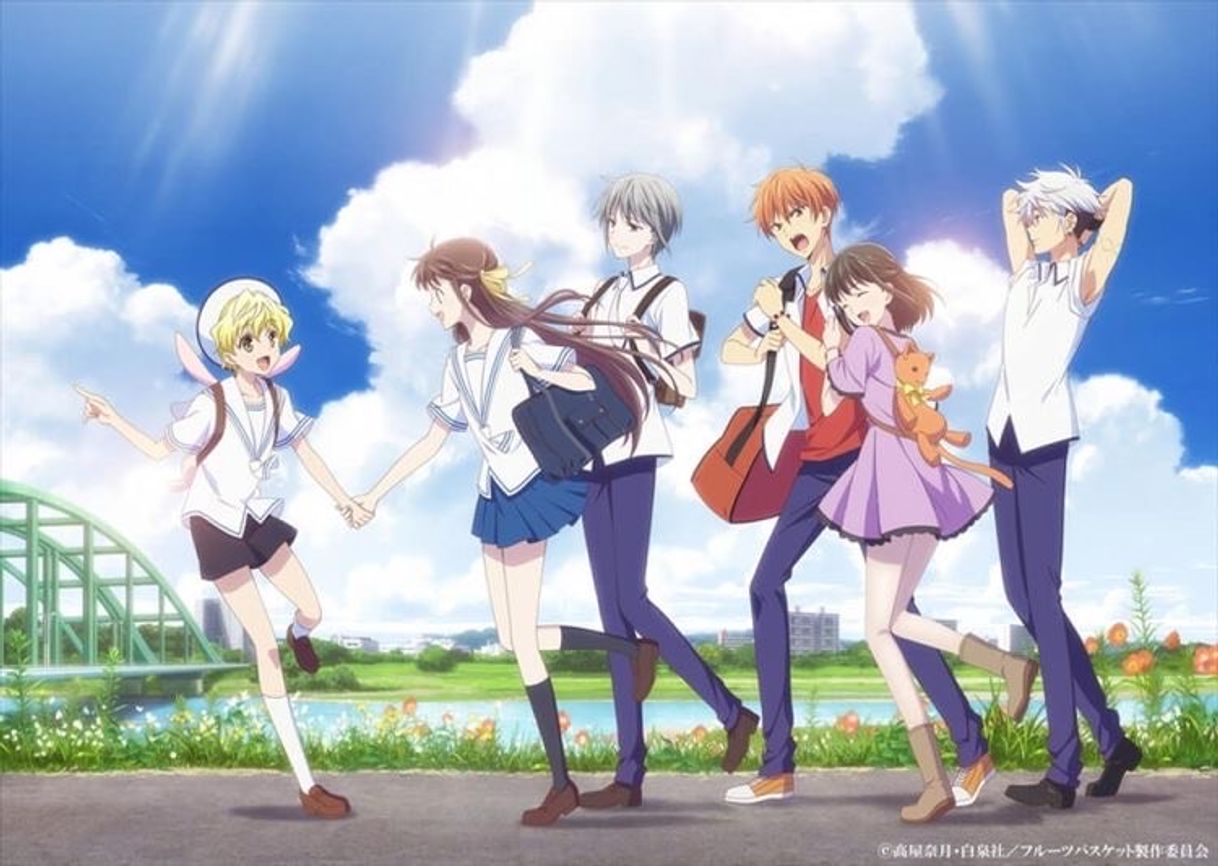 Serie Fruits Basket