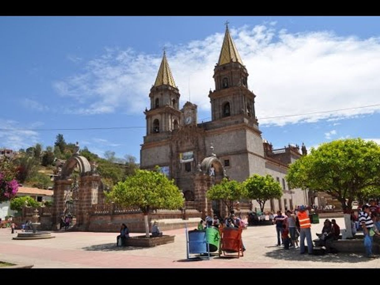 Place Talpa de Allende