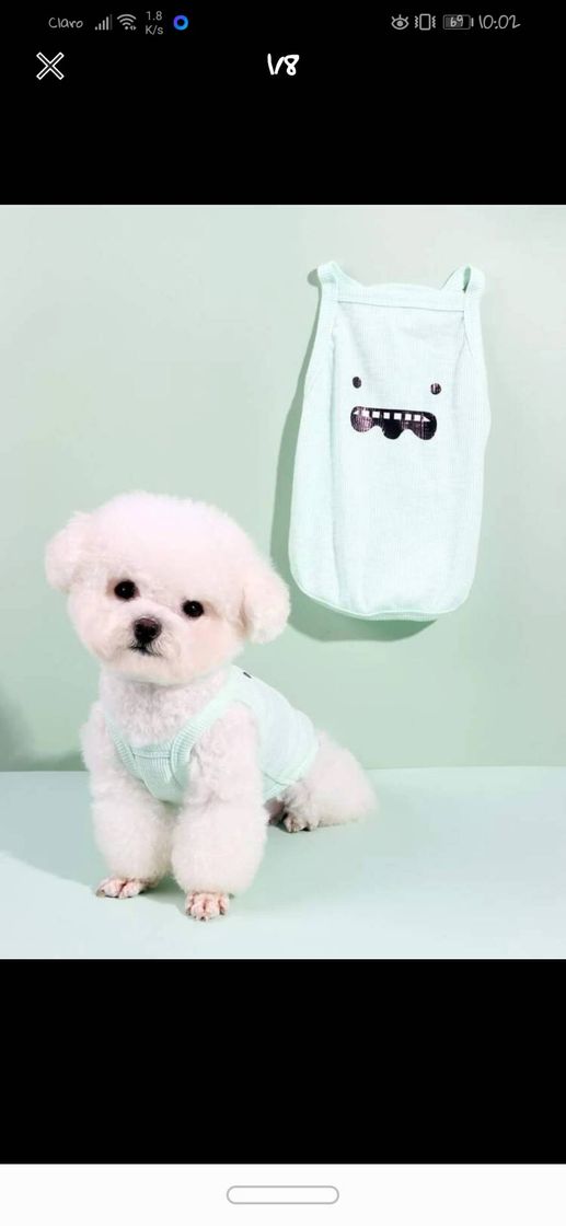 Producto Ropa para tu mascota 