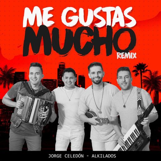 Me Gustas Mucho - Remix