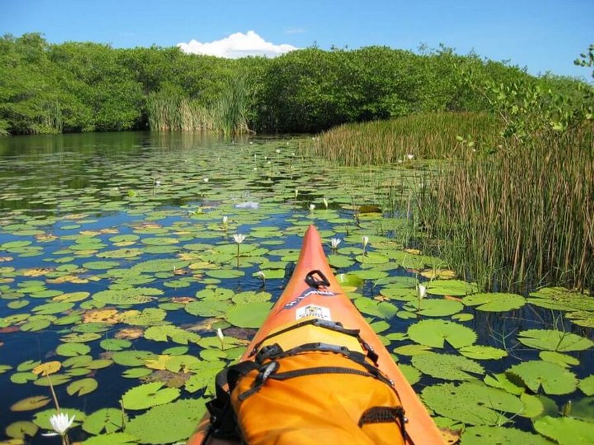 Lugar Biotopo Monterrico-Hawaii