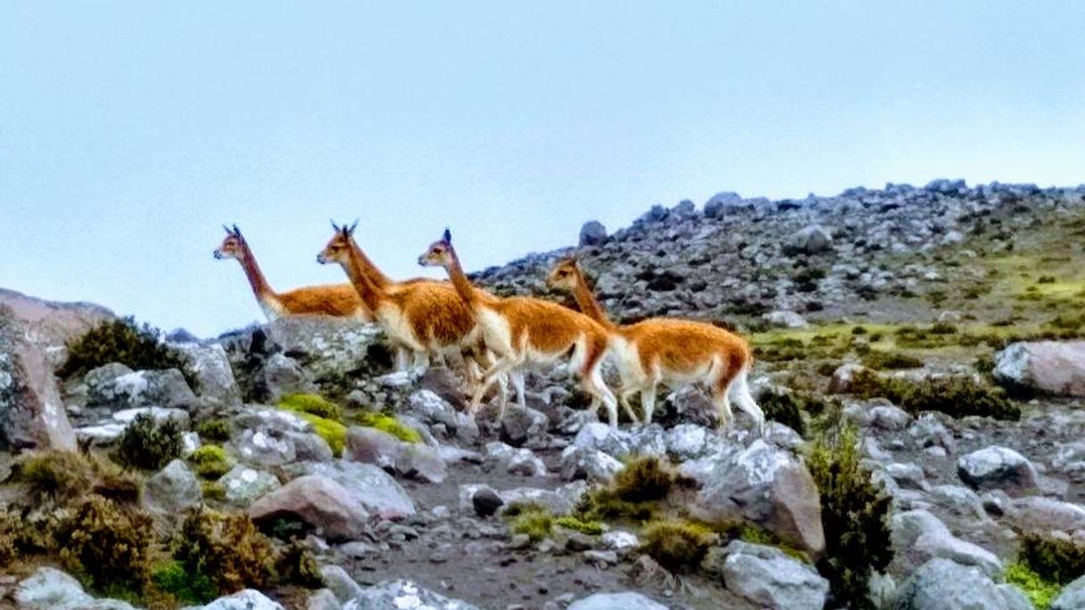 Lugar Chimborazo