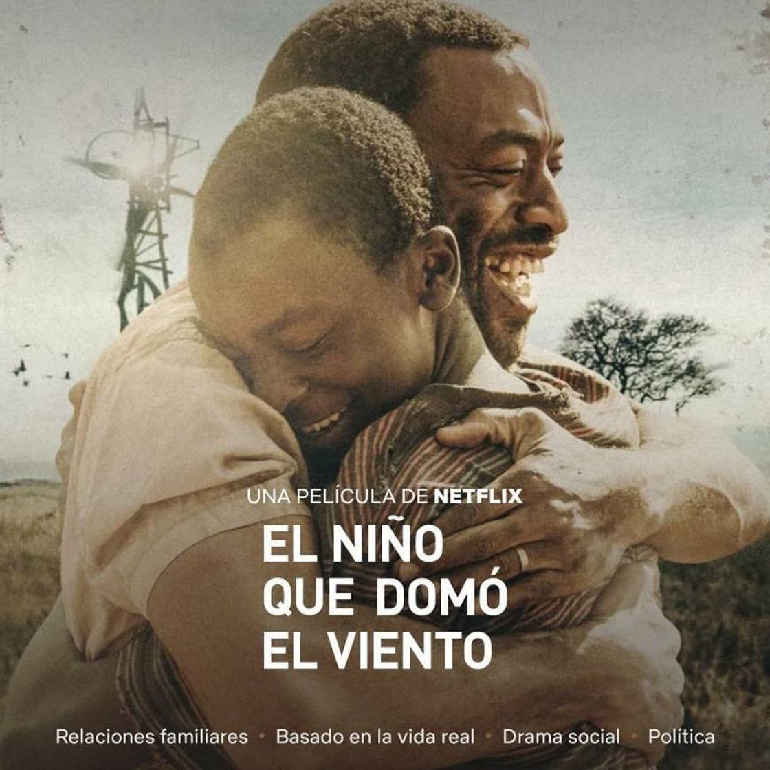 Movies Peli el niño que domo el viento