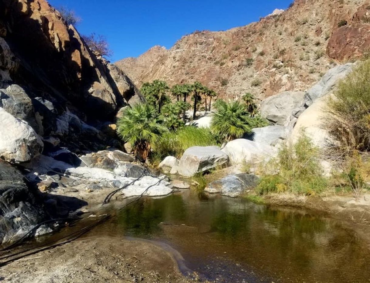 Lugar Canon El Tajo