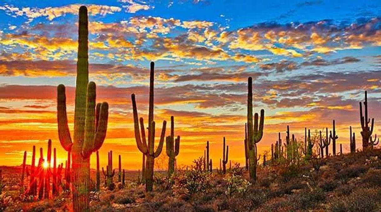 Lugar Valle de los Gigantes