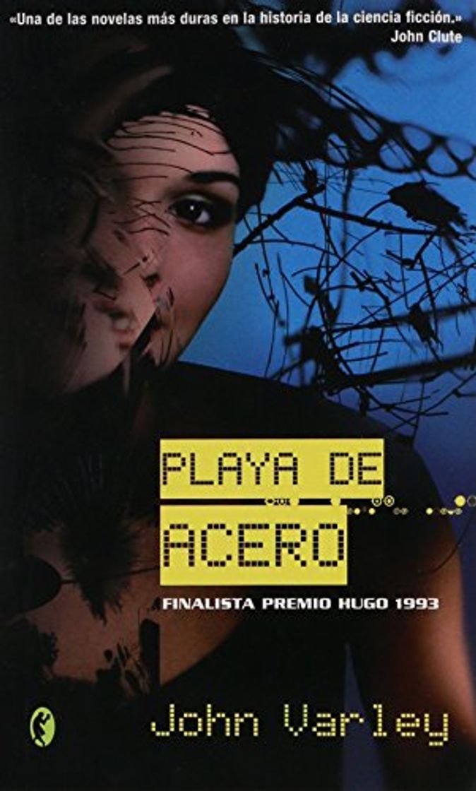 Libro PLAYA DE ACERO