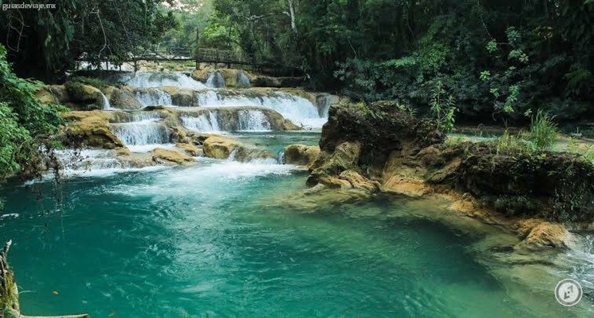 Lugar Cascadas de Agua Azul