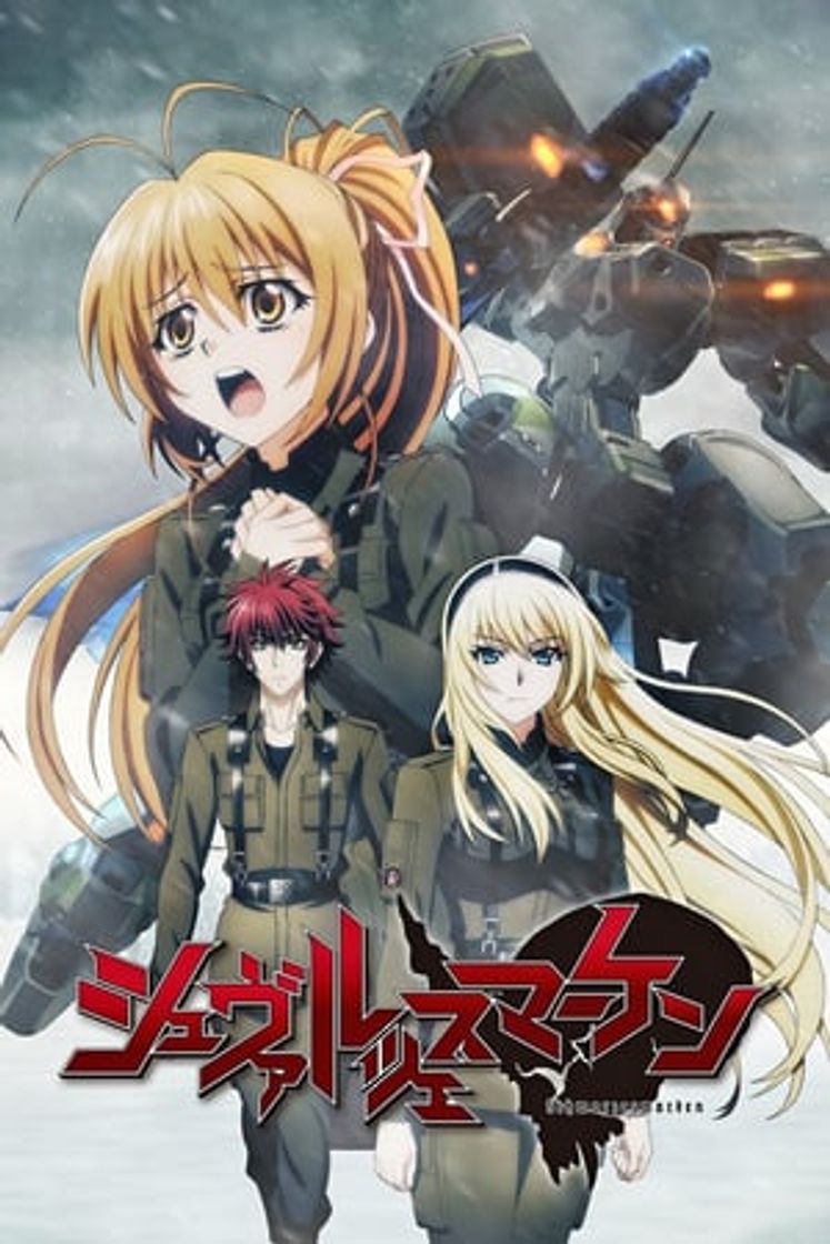 Serie Schwarzesmarken