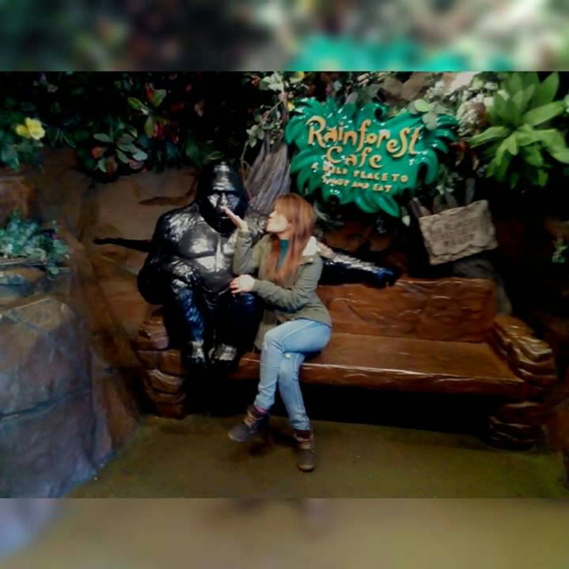 Restaurants Rainforest Cafe