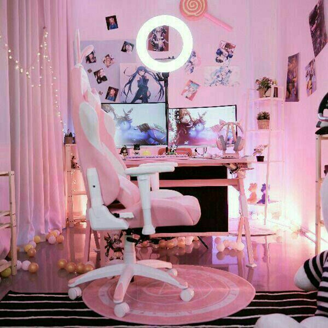 Setup