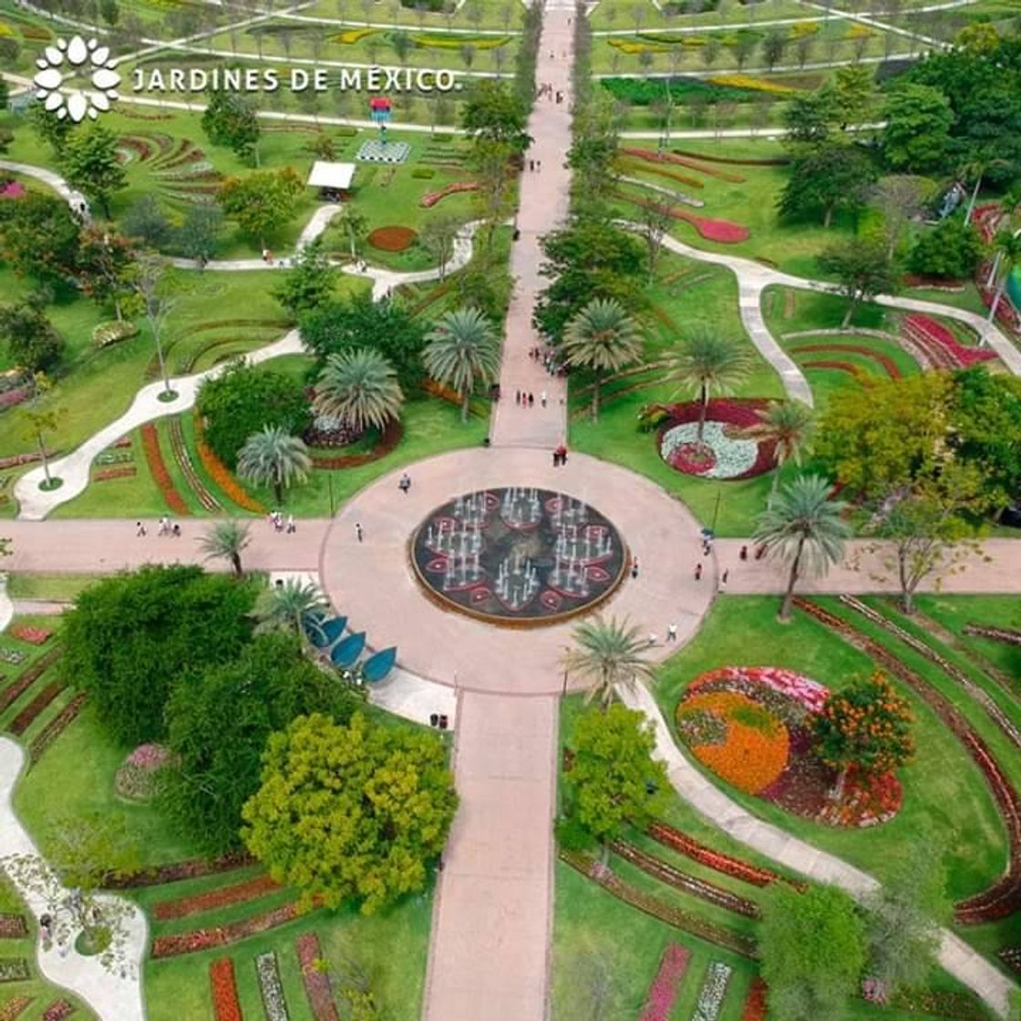 Place Jardines de México